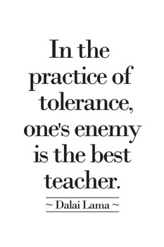 Dalai Lama In The Practice Of Tolerance Ones Enemy Is The Best Teacher Quote Motivational Cool Wall Decor Art Print Poster 16x24