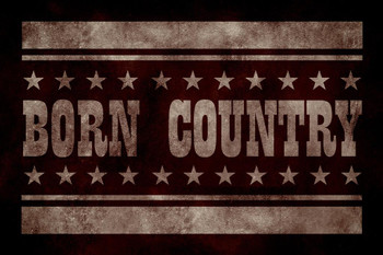 Laminated Born Country Vintage Dark Poster Dry Erase Sign 16x24