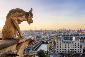 Notre Dame Cathedral Gargoyle Paris City Skyline Landscape Photo Photograph Cool Wall Decor Art Print Poster 24x16