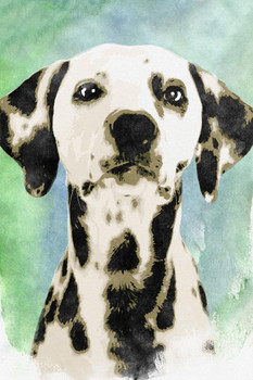 Laminated Dogs Dalmation Painting Color Splash Dog Posters For Wall Funny Dog Wall Art Dog Wall Decor Dog Posters For Kids Bedroom Animal Wall Poster Cute Animal Posters Poster Dry Erase Sign 16x24