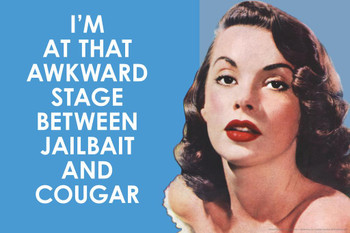 Laminated Im At that Awkward Stage Between Jailbait and Cougar Humor Poster Dry Erase Sign 24x16