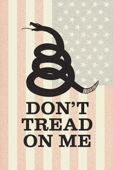 Gadsden Flag Dont Tread On Me Rattlesnake Coiled To Strike Old Glory Faded Textured Cool Wall Decor Art Print Poster 16x24