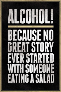 Alcohol Because No Great Story Ever Started With Someone Eating A Salad Cool Wall Decor Art Print Poster 16x24