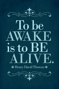 Laminated Henry David Thoreau To Be Awake Is To Be Alive Blue Poster Dry Erase Sign 16x24