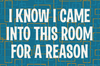 Laminated I Know I Came Into This Room For A Reason Humor Poster Dry Erase Sign 24x16