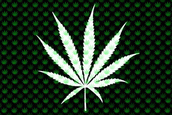 Laminated Marijuana Weed Pattern Dark Leaves College Poster Dry Erase Sign 16x24