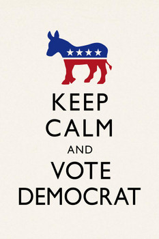 Keep Calm and Vote Democratic White Campaign Cool Wall Decor Art Print Poster 16x24