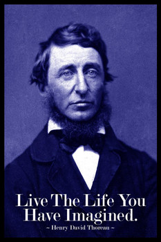 Laminated Henry David Thoreau Live The Life You Have Imagined Blue Poster Dry Erase Sign 16x24