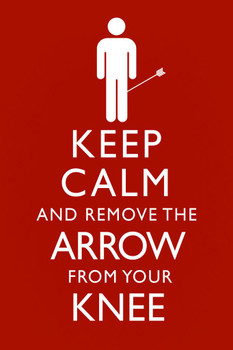 Keep Calm And Remove The Arrow From Your Knee Funny Cool Wall Decor Art Print Poster 16x24