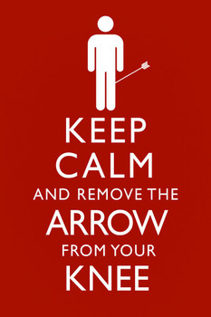 Laminated Keep Calm And Remove The Arrow From Your Knee Funny Poster Dry Erase Sign 16x24