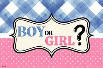 Gender Reveal Poster Boy or Girl Him or Her Baby Party Decorations Supply Supplies Little Star Cute Stuff Design Blue Pink Ideas Photo Picture Welcome Banner Cool Wall Decor Art Print Poster 12x18