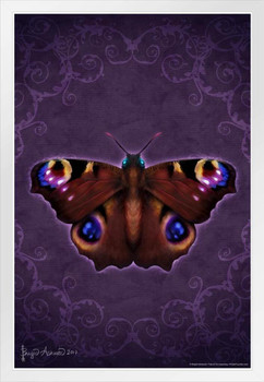 Damask Butterfly by Brigid Ashwood Butterfly Poster Vintage Poster Prints Butterflies in Flight Wall Decor Butterfly Illustrations Insect Art White Wood Framed Poster 14x20
