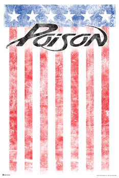 Poison American Flag USA Heavy Metal Music Merchandise Retro Vintage 80s 90s Aesthetic Band Stretched Canvas Art Wall Decor 16x24