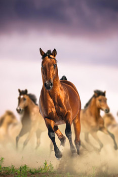 Wild Horses Galloping Running Together Wild Horses Decor Galloping Horses Wall Art Horse Poster Print Poster Horse Pictures Wall Decor Running Horse Breed Poster Cool Wall Decor Art Print Poster 24x36