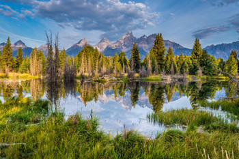 Grand Teton National Park Wyoming Reflecting Landscape Photo Cool Wall Decor Art Print Poster 24x36