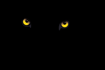 Black Leopard Eyes Yellow Focus Leopard Pictures Wall Decor Jungle Animal Pictures for Wall Posters of Wild Animals Jungle Leopard Print Decor Animal Wall Decor Cool Wall Decor Art Print Poster 24x36