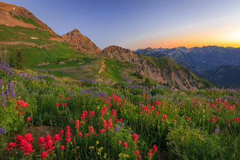 Laminated Wasatch Mountains Wildflower Dawn Landscape Photo Poster Dry Erase Wall Art 24x36 Laminated Wasatch Mountains Wildflower Dawn Landscape Photo Poster Dry Erase Wall Art 24x36