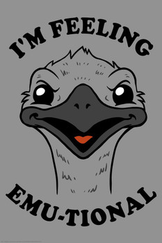 Laminated Im Feeling Emutional Emu Bird Funny Parody LCT Creative Poster Dry Erase Sign 24x36