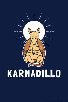 Laminated Karmadillo Karma Armadillo Funny Parody LCT Creative Poster Dry Erase Wall Art 24x36 Laminated Karmadillo Karma Armadillo Funny Parody LCT Creative Poster Dry Erase Wall Art 24x36