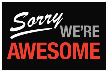 Sorry Were Awesome Sign Cool Wall Art Print Poster 24x36