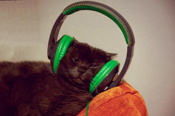 Cool Cat with Headphones Photo Photograph Cool Cat Poster Funny Wall Posters Kitten Posters for Wall Funny Cat Poster Inspirational Cat Poster Music Cool Wall Decor Art Print Poster 36x24