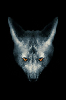 Wolf Face Portrait Orange Eyes Black White Dramatic Photo Wolf Posters For Walls Posters Wolves Print Posters Art Wolf Wall Decor Nature Posters Wolf Decorations Cool Huge Large Giant Poster Art 36x54
