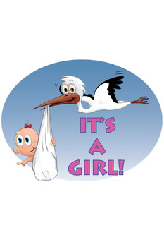 It's A Boy Stork Baby Announcement Gender Reveal Stretched Canvas Art Wall Decor 16x24