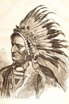 Chief Sitting Bull Engraving Native American 1881 Stretched Canvas Art Wall Decor 16x24