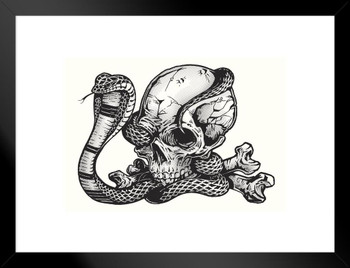 Human Skull Cobra Snake Pen Ink Tattoo Style Etching Artistic Design Matted Framed Wall Decor Art Print 20x26