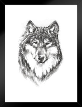 Wolf Face Portrait Artistic Black White Charcoal Sketch Wolf Posters For Walls Posters Wolves Print Posters Art Wolf Wall Decor Nature Posters Wolf Decorations Matted Framed Wall Decor Art Print 20x26