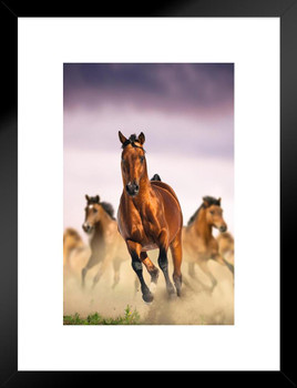 Wild Horses Galloping Running Together Wild Horses Decor Galloping Horses Wall Art Horse Poster Print Poster Horse Pictures Wall Decor Running Horse Breed Poster Matted Framed Wall Decor Art Print 20x26