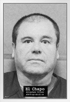 El Chapo Mug Shot Joaquin Guzman Kingpin Sinaloa Cartel Portrait Photo Famous Mugshot Narco Decor Gangster Wanted Arrest Mexico Federales White Wood Framed Poster 14x20