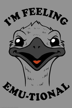 Im Feeling Emutional Emu Bird Funny Parody LCT Creative Cool Wall Decor Art Print Poster 16x24