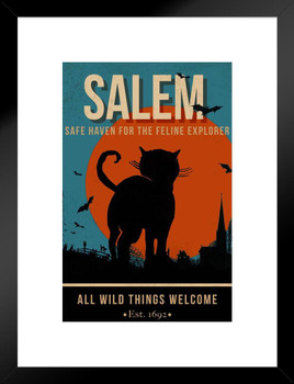 Salem Feline Safe Haven Black Cat Decor Weird Bathroom Home Sign Vintage Blue Matted Framed Art Wall Decor 20x26