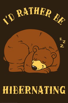 Laminated Id Rather Be Hibernating Sleeping Bear Funny Parody LCT Creative Poster Dry Erase Sign 12x18