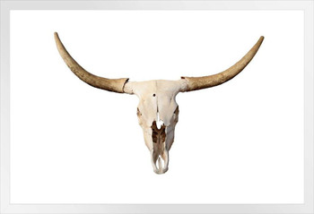 Long Horn Bull Skull Rendering Photo Bull Pictures Wall Decor Longhorn Picture Longhorn Wall Decor Bull Picture of a Cow Skull Picture Bull Horns for Wall White Wood Framed Poster 14x20