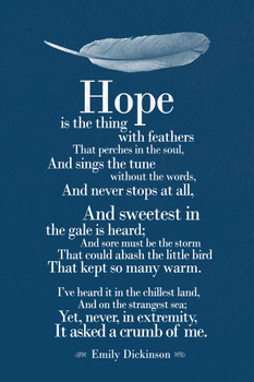 Emily Dickenson Hope Is The Thing With Feathers Quote Cool Wall Art Print Poster 12x18