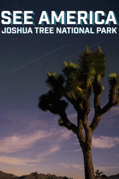 Joshua Tree National Park by Daniel Gross Creative Action Network See America National Parks Travel Retro Vintage Style Thick Paper Sign Print Picture 8x12