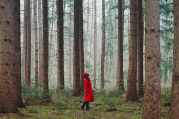 Woman Walking Along Wooded Road in Red Photo Photograph Cool Wall Decor Art Print Poster 36x24