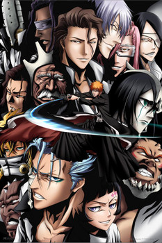 Bleach Ichigo VS Espadalcon Anime Manga Japanese Japan Cartoon