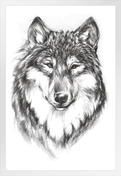 Wolf Face Portrait Artistic Black White Charcoal Sketch Wolf Posters For Walls Posters Wolves Print Posters Art Wolf Wall Decor Nature Posters Wolf Decorations White Wood Framed Poster 14x20