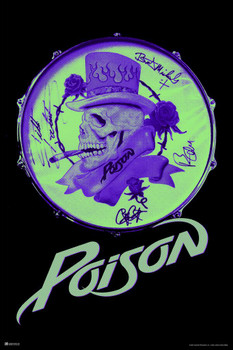 Poison Skull Bass Drum Heavy Metal Music Merchandise Retro Vintage 80s 90s Aesthetic Band Thick Paper Sign Print Picture 8x12