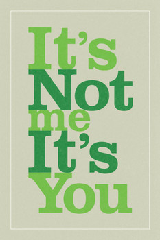 Its Not Me Its You Green Cool Wall Art Print Poster 12x18