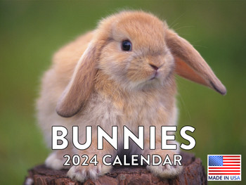 Bunny Calendar 2024 Wall Gifts For Rabbit Lovers Monthly Calander