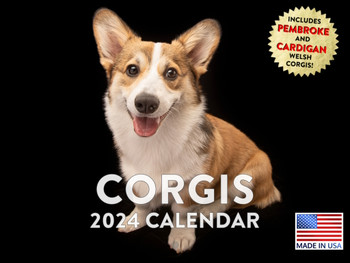 Corgi Calendar 2024 Wall Monthly Calender Pembroke Corgi and Cardigan Welsh Gifts 12 Month