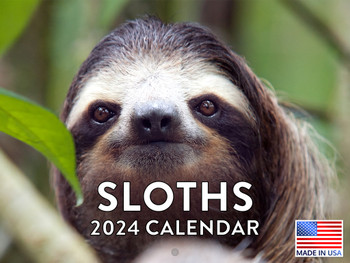 Sloth Calendar 2024 Wall Calender Monthly Sloth Gifts 12 Month