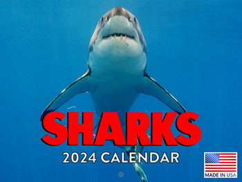Shark Calendar 2024 Monthly Wall Calender Sharks Gifts 12 Month