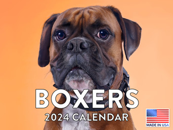 Boxer Calendar 2024 Monthly Wall Calender 12 Month