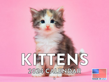 Kitten Calendar 2024 Cat Monthly Wall Calender Kitty Gifts 12 Month