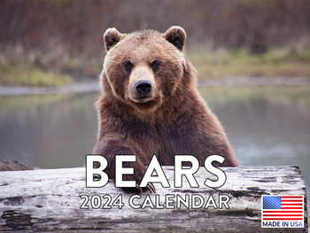 Bear Calendar 2024 Wall Calander Monthly